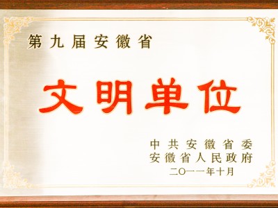 第九届安徽省文明单位
