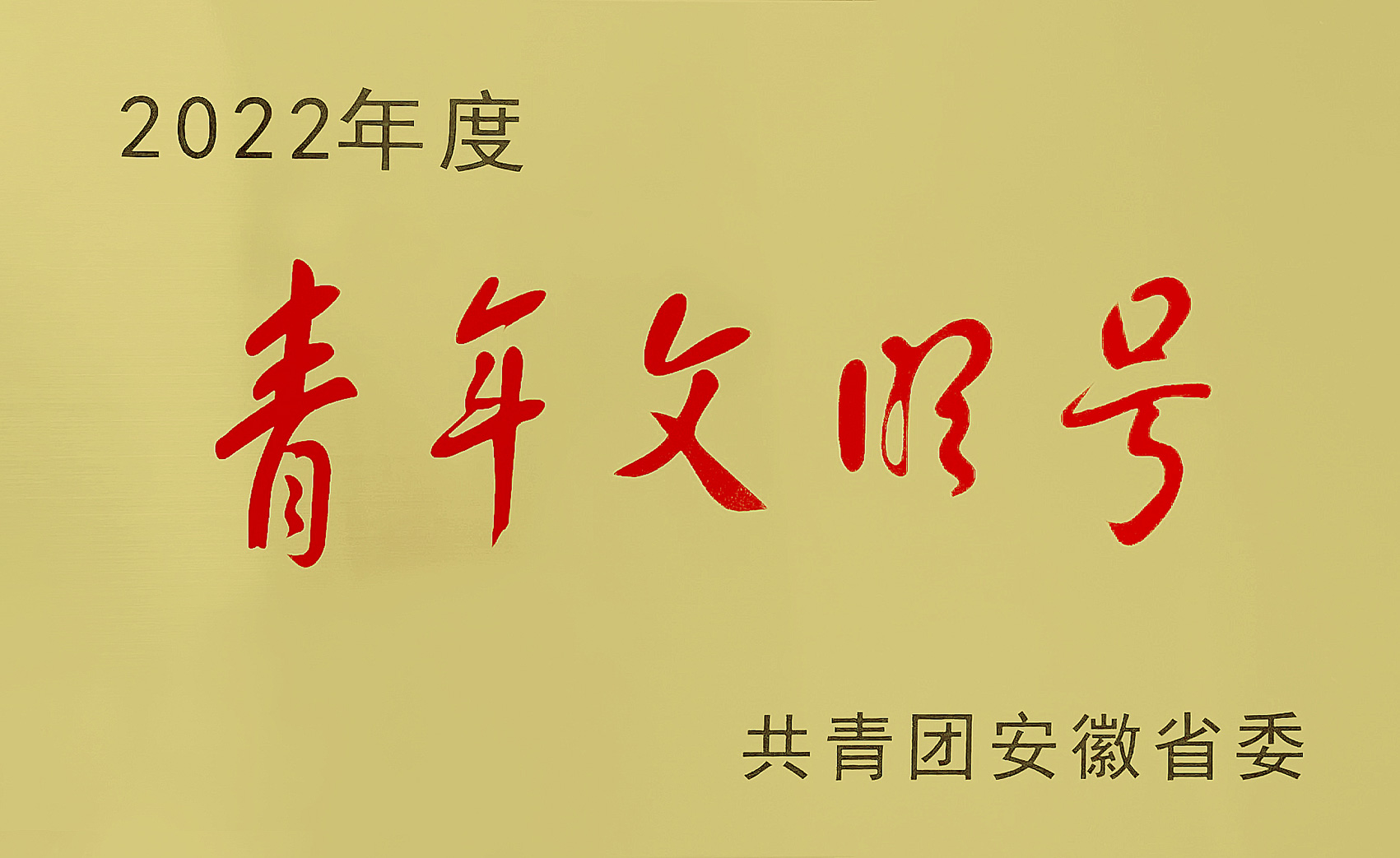 芜湖轨道交通项目经理部